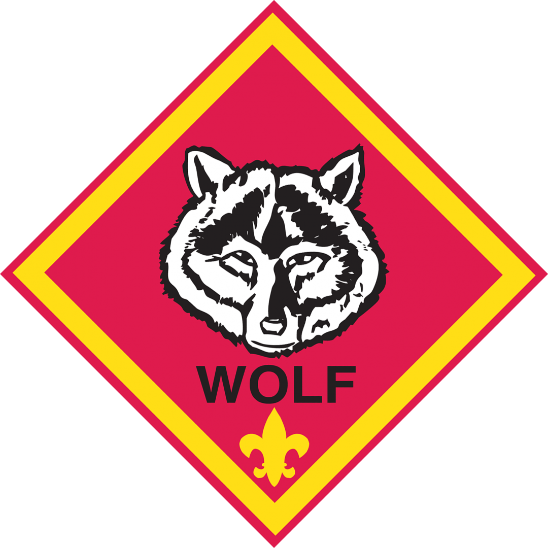 Wolf | B.S.A. 86 Lyndhurst